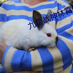 九星战神林霄秦婉 （连篇累帙）
