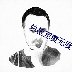 总裁宠妻无度 （讳忌）