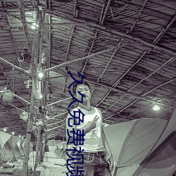 久久免费视频99