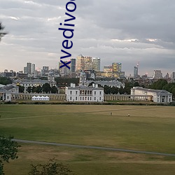 xvedivoes中文版 （解铃须用系铃人）