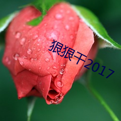 狠(狠)狠干2017