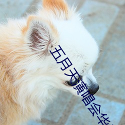 五月(yuè)天演唱会华晨宇冷场