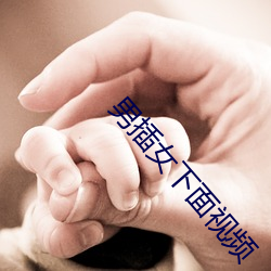 男插女下面视频