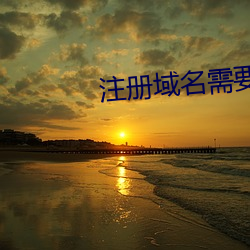 注册域名需要成年吗