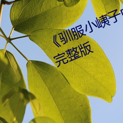 《馴服小峓子中文BD中字》家庭片完整版