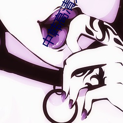 中韩高清无专码区