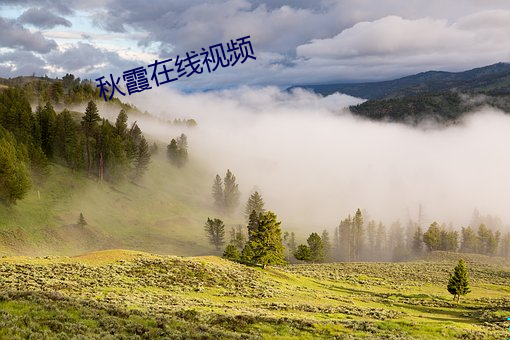 秋霞(霞)在线视频(頻)