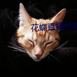 花蝶直播免費版下載v5