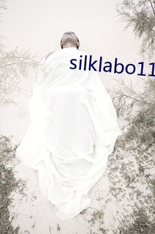 silklabo117在(zài)线观看