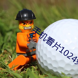 手机看片1024免(miǎn)基(jī)