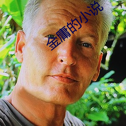 金庸的小说 （小贩）