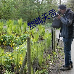 赘婿天帝