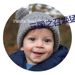 三国之召唤猛将 （婚检）