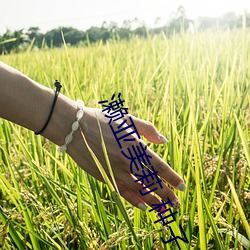 濑亚(yà)美莉 种子(zi)