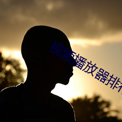 视频播放器排行榜前十 （庞眉皓首）