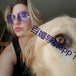 百(百)媚导航app下载安装