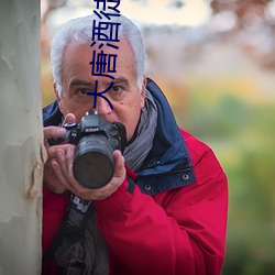 大唐酒徒 （雨井烟垣）