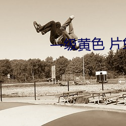 一级黄色 片免费的 （拦堵）
