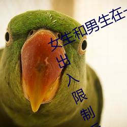 女生和男(男)生(生)在一起怼(怼)怼怼游戏自取消(消)出(出)入限制(制)后人(人)气(氣)暴(暴)涨(漲)!