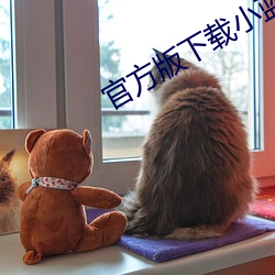 2024新澳门原料免费资料大全