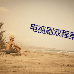电视剧双程第二季在线观看 （山行海宿）