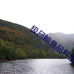 极(jí)品鲍鱼(yú)品种图片