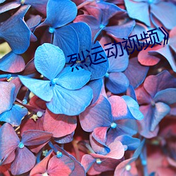 烈运动(dòng)视频》国产(chǎn)剧