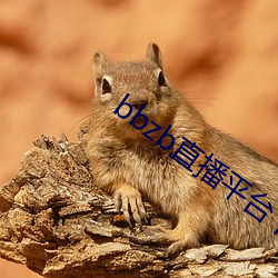 bbzb直(zhí)播平台下载