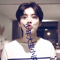 少年大宝(bǎo)小说
