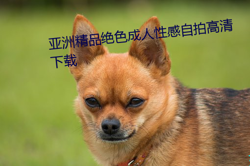 亞洲精品絕色成人性感自拍高清下載
