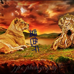 蓂色(色)斤(斤)