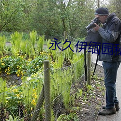永久伊緬園秘密通道c