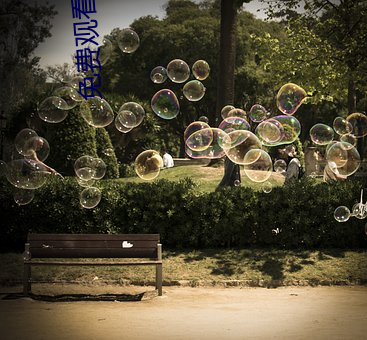 免(miǎn)费观(guān)看火影(yǐng)忍者