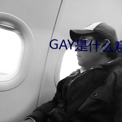 GAY是(是)什(什)么意(意)思