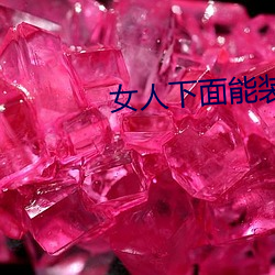 女人下面能装得下去牛鞭吗
