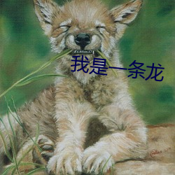 我是一条(tiáo)龙