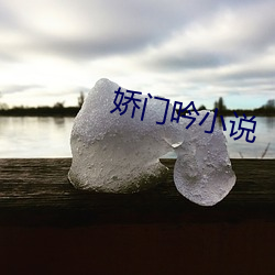 娇门吟小说