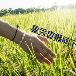 星秀直播间下载手机版