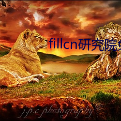 fillcn研究院(院)免费入口