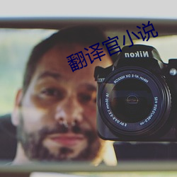 翻译官小说