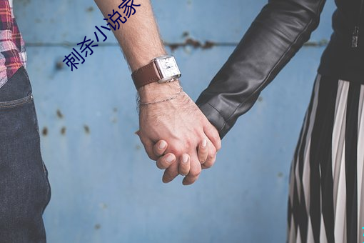 刺杀小说家