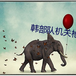 韓部隊機關槍走火打在三八