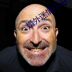 婚(hūn)外迷情(qíng)小(xiǎo)说(shuō)