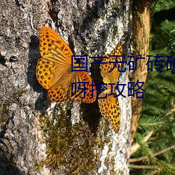 国产(産)无矿砖矿(礦)码2022入口挖(挖)呀挖呀挖攻(攻)略(略)