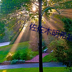 佐(zuǒ)佐(zuǒ)木明希(xī)超清无码作品