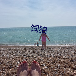 饲狼