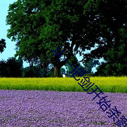 &#x840C;&#22969;&#x5B50;&#35770;&#x575B;&#30331;&#x5F55;&#25552;&#x9192;app&#x4E0B;&#36733;&#x624B;&#26426;&#x7248;
