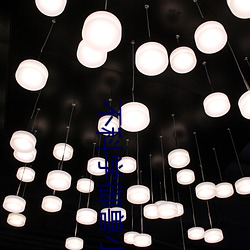 不科学御兽小说