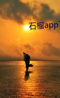 石榴app下载汅ios （轻重倒置）