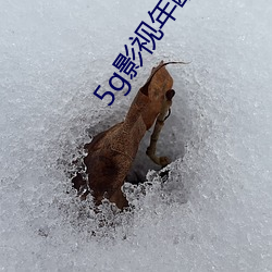 5g影视年龄确认大象 （蜀犬吠日）